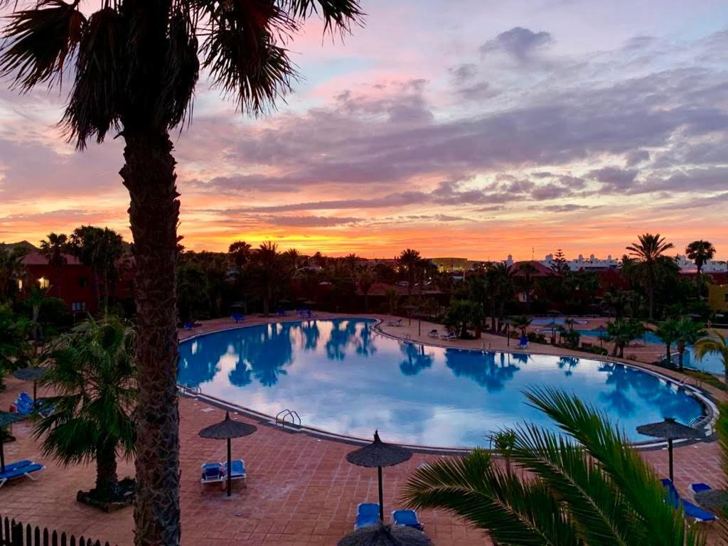 Fuerteventura Apartments Коральео Экстерьер фото
