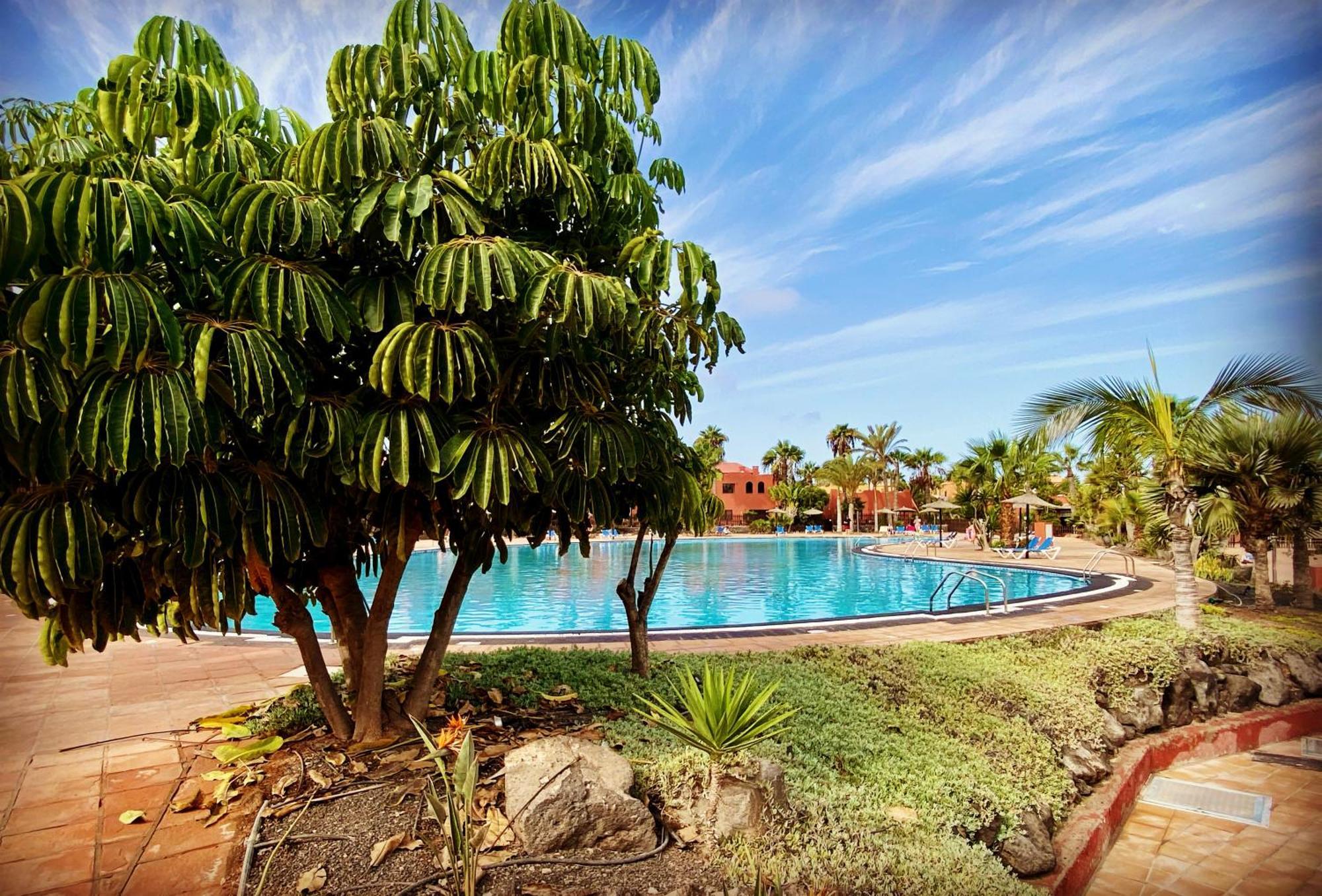 Fuerteventura Apartments Коральео Экстерьер фото